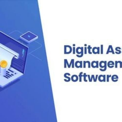 Digital Asset Management Software: Five Best Options for Your Businesses